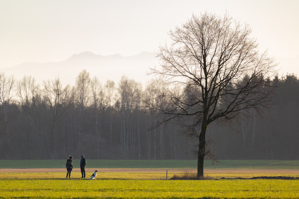 Lauteracherried im J&auml;nner 86